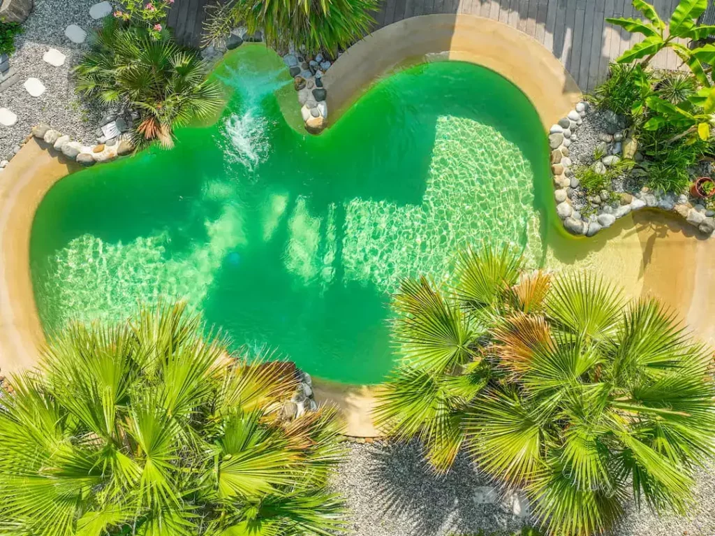 Piscine-de-forme-libre-lagon-Diffazur