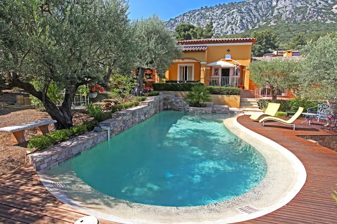 Piscine de forme libre intégré dans son paysage
