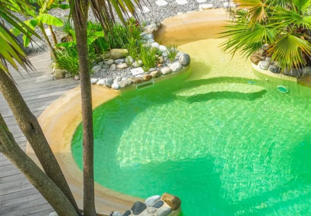 Piscine lagon creusée avec escalier intégré