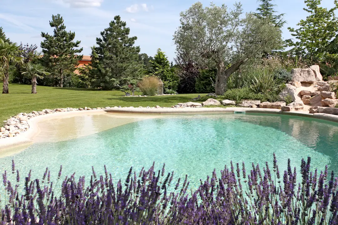 Piscine creusée effet lagon avec plage semi immergée construite à Lyon
