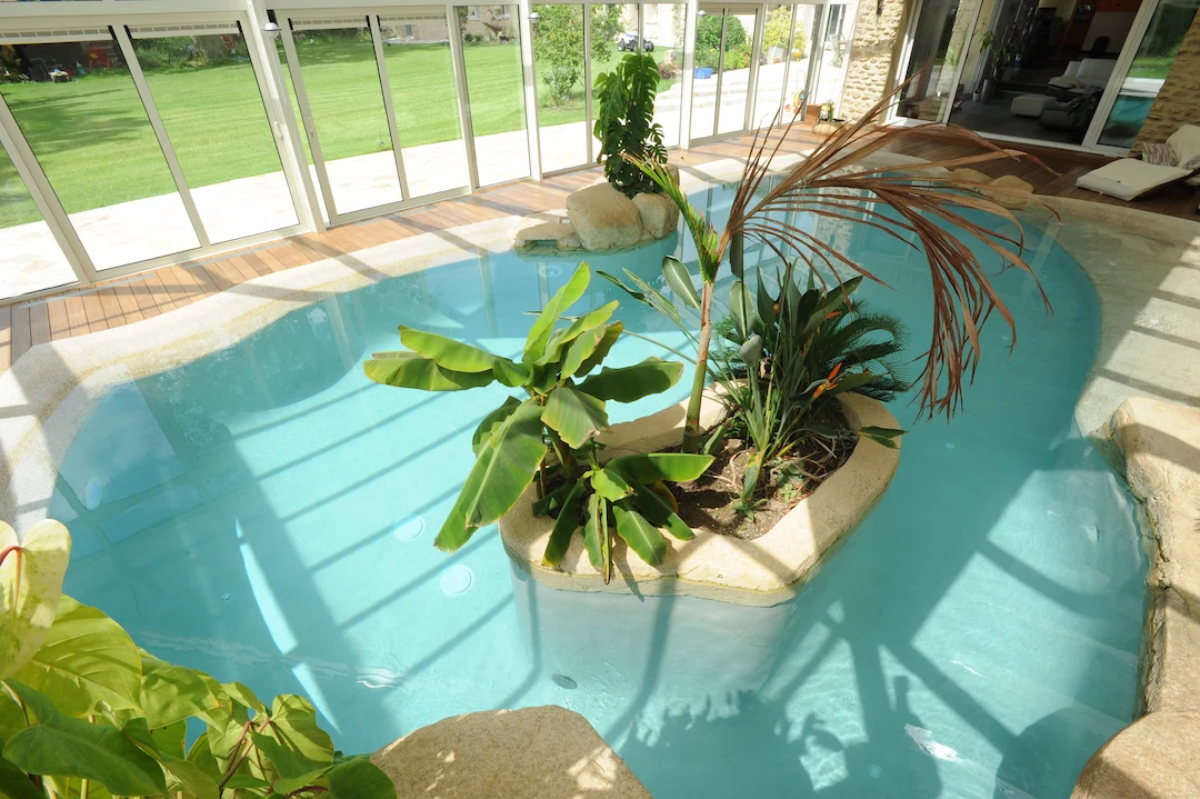 Piscine de forme libre aux bords naturels à Paris